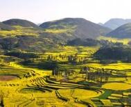 整治排查數(shù)萬臺(tái)變壓器 保地區(qū)用電穩(wěn)定——云南曲靖供電局